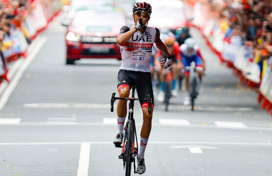 SOLER REY DE BILBAO